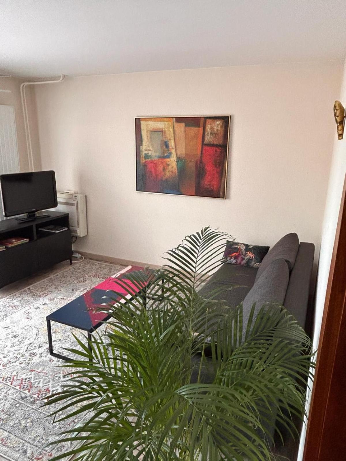 Appartement Sur Les Bords De L'Ill Στρασβούργο Εξωτερικό φωτογραφία